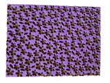 Texture Mat - Foami   3'x 4'